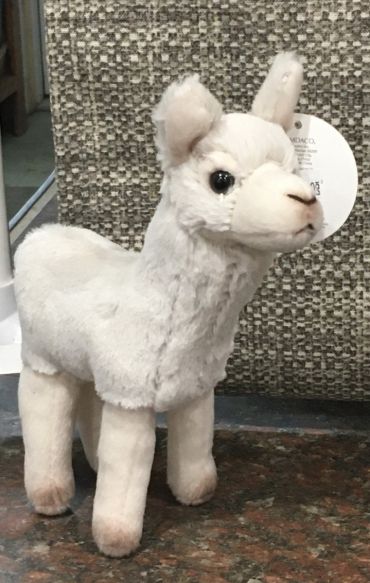 Llama