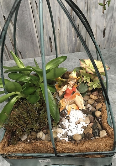 Succulent Terrarium