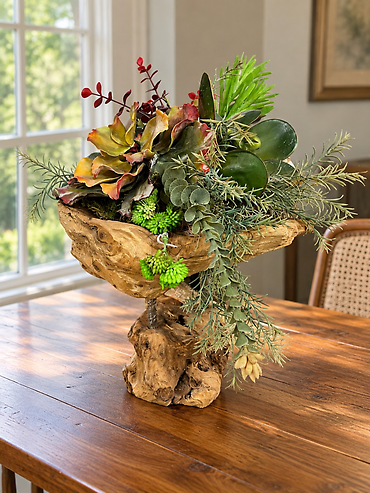Succulant plants in a driftwood container