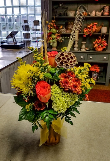 Falling in love with Fall