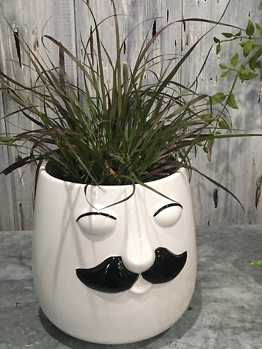 Mr. Plant