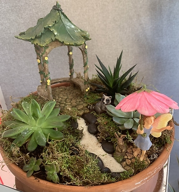 succulent terranrium 4