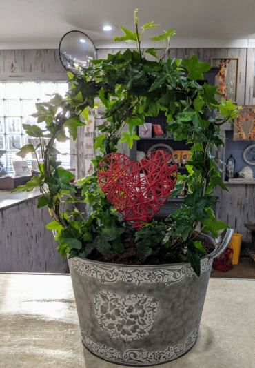 Ivy Topiary in Love