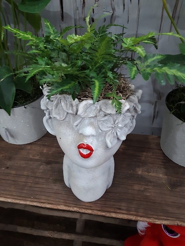 kissing face planter with live plant